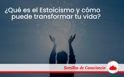 ¿Qué es el Estoicismo y cómo puede transformar tu vida?
